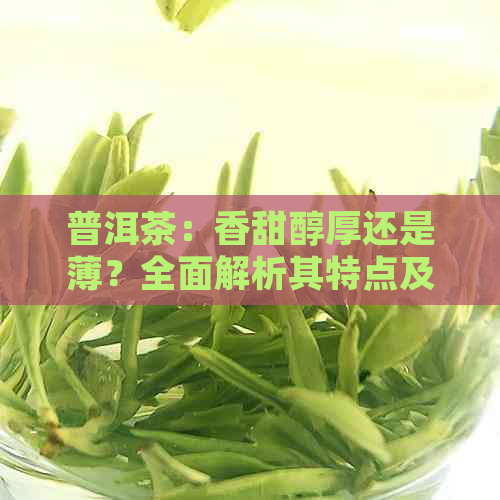 普洱茶：香甜醇厚还是薄？全面解析其特点及品饮方法