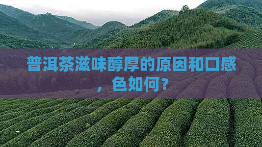 普洱茶滋味醇厚的原因和口感，色如何？