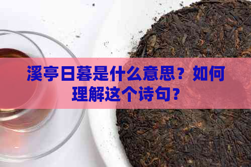 溪亭日暮是什么意思？如何理解这个诗句？