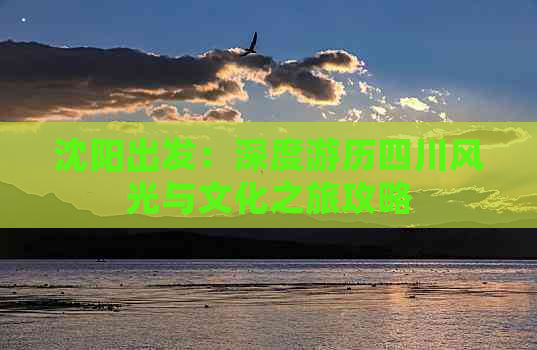 沈阳出发：深度游历四川风光与文化之旅攻略