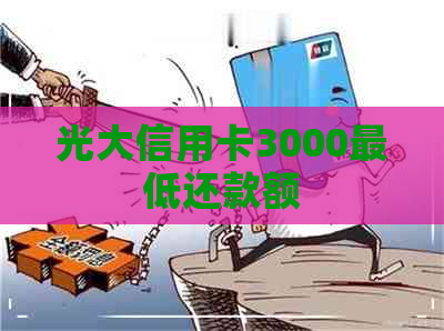 光大信用卡3000更低还款额