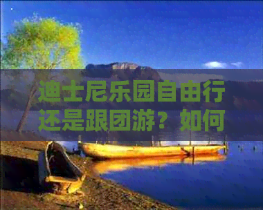 迪士尼乐园自由行还是跟团游？如何选择更佳方案？