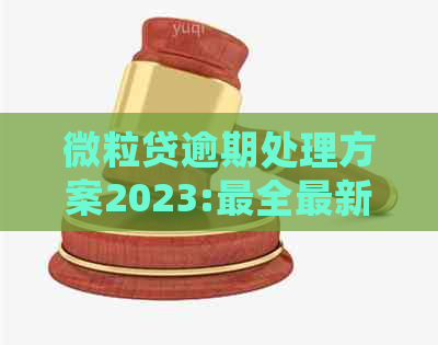 微粒贷逾期处理方案2023:最全最新指南与应对策略