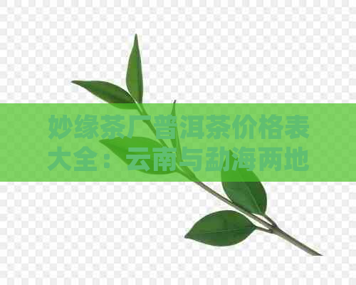 妙缘茶厂普洱茶价格表大全：云南与勐海两地的妙缘茶厂