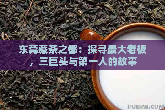 东莞藏茶之都：探寻更大老板，三巨头与之一人的故事