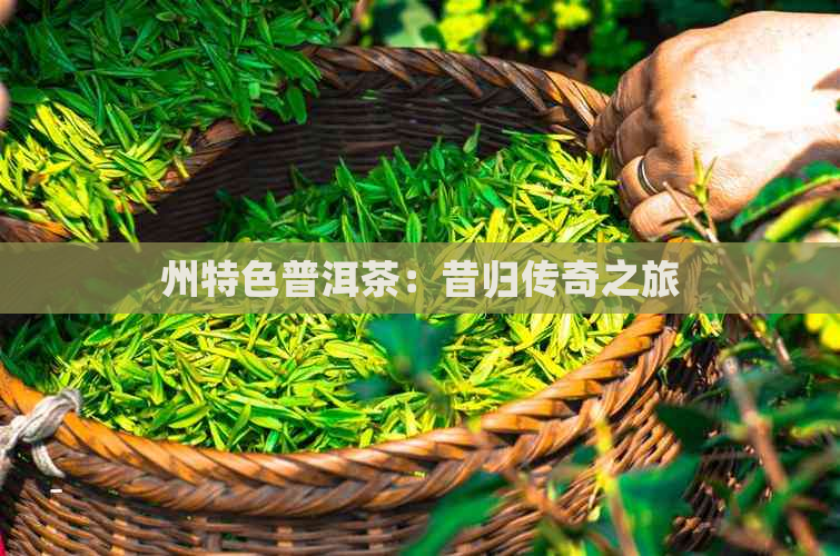 州特色普洱茶：昔归传奇之旅