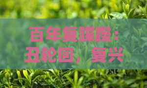 百年复蹀躞：丑轮回，复兴梦想与复聪真假探讨