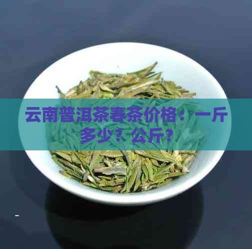 云南普洱茶春茶价格：一斤多少？公斤？