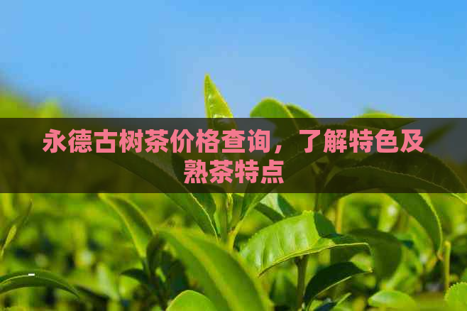 永德古树茶价格查询，了解特色及熟茶特点