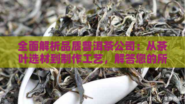 全面解析品质普洱茶公司：从茶叶选材到制作工艺，解答您的所有疑问