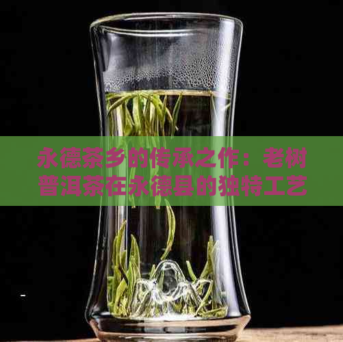 永德茶乡的传承之作：老树普洱茶在永德县的独特工艺与品质