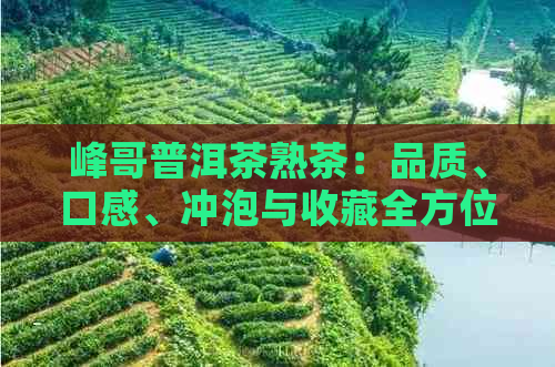 峰哥普洱茶熟茶：品质、口感、冲泡与收藏全方位解析，助您轻松挑选与品鉴