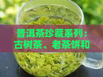 普洱茶珍藏系列：古树茶、老茶饼和特色茶品的购买指南