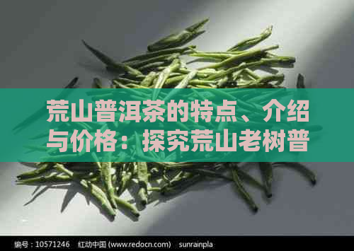 荒山普洱茶的特点、介绍与价格：探究荒山老树普洱茶的价值