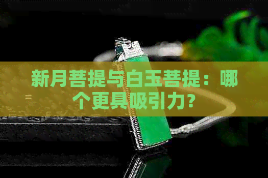 新月菩提与白玉菩提：哪个更具吸引力？