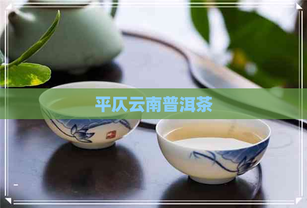 平仄云南普洱茶