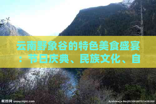 云南野象谷的特色美食盛宴：节日庆典、民族文化、自然风光