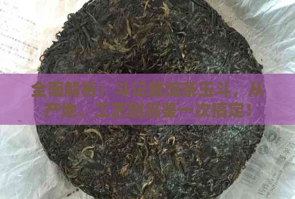 全面解析：斗记普洱茶玉斗，从产地、工艺到品鉴一次搞定！