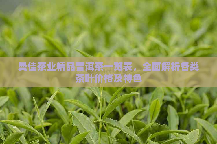 曼佳茶业精品普洱茶一览表，全面解析各类茶叶价格及特色