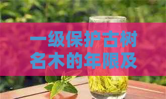 一级保护古树名木的年限及其生态价值研究