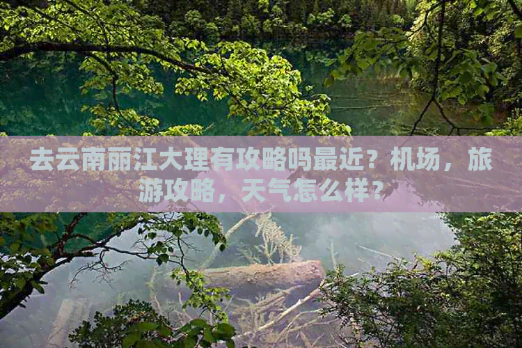 去云南丽江大理有攻略吗最近？机场，旅游攻略，天气怎么样？