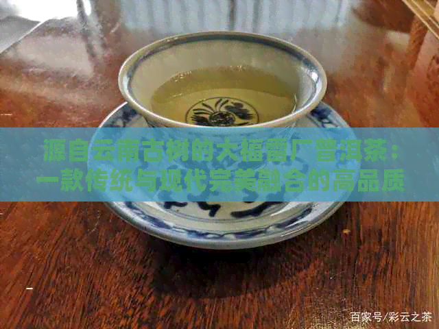 源自云南古树的大福雷厂普洱茶：一款传统与现代完美融合的高品质茶叶