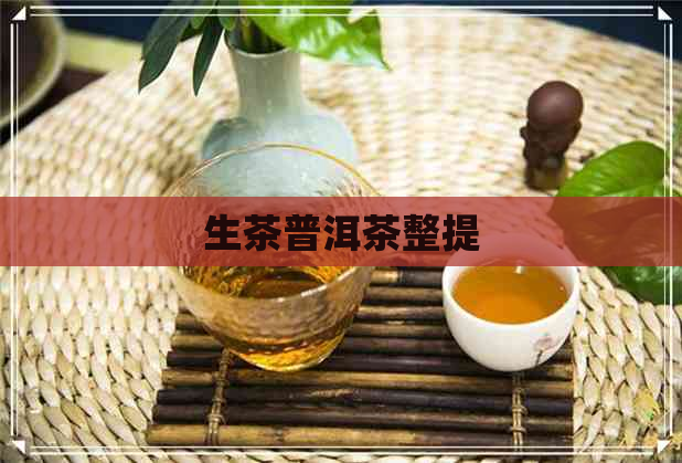 生茶普洱茶整提