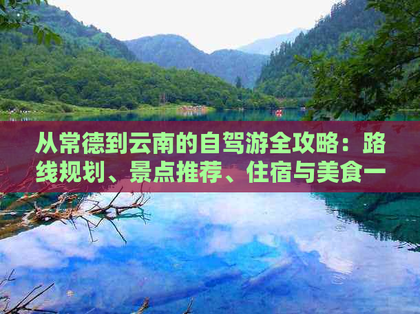 从常德到云南的自驾游全攻略：路线规划、景点推荐、住宿与美食一应俱全