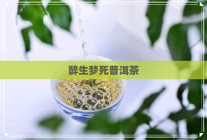 醉生梦死普洱茶