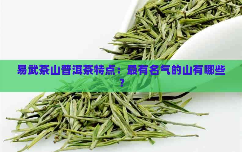 易武茶山普洱茶特点：最有名气的山有哪些？