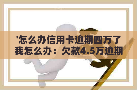 '怎么办信用卡逾期四万了我怎么办：欠款4.5万逾期一年，会被判刑吗？'