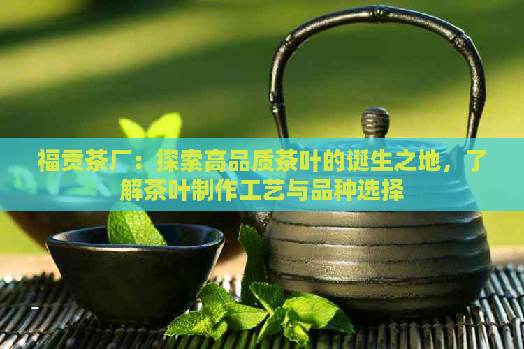 福贡茶厂：探索高品质茶叶的诞生之地，了解茶叶制作工艺与品种选择