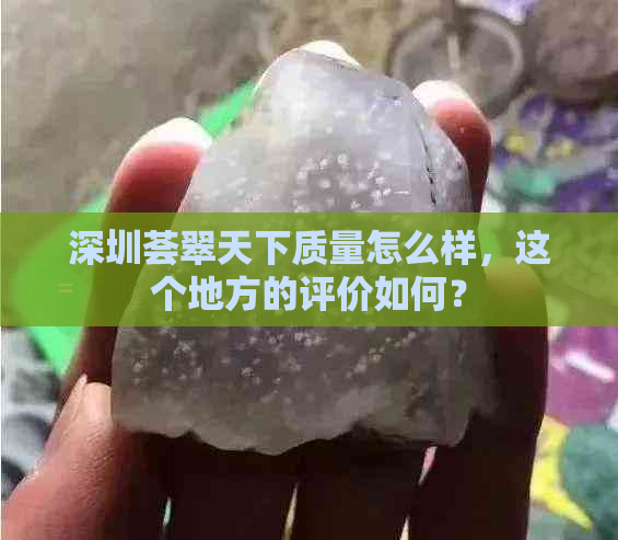 深圳荟翠天下质量怎么样，这个地方的评价如何？