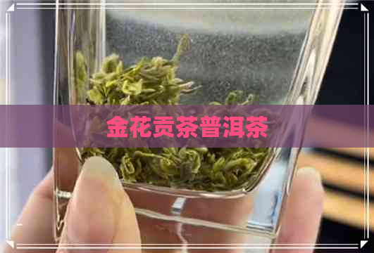 金花贡茶普洱茶