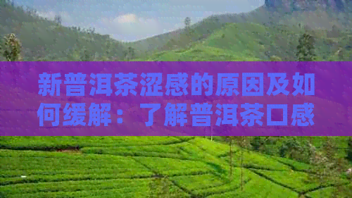 新普洱茶涩感的原因及如何缓解：了解普洱茶口感与冲泡方法的全解析