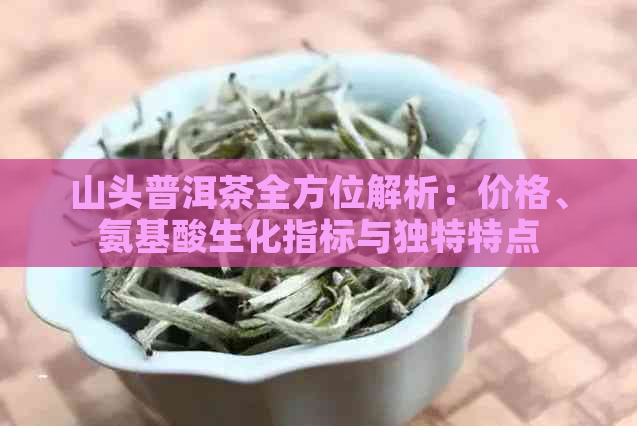 山头普洱茶全方位解析：价格、氨基酸生化指标与独特特点