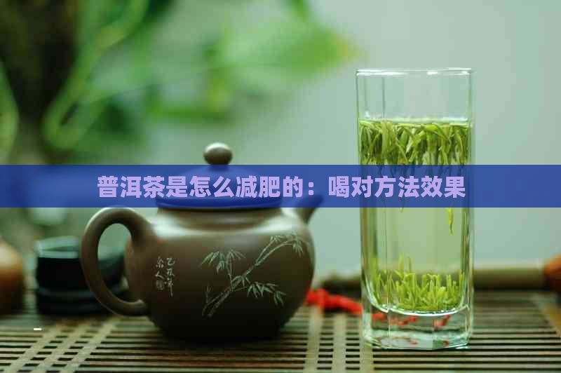 普洱茶是怎么减肥的：喝对方法效果