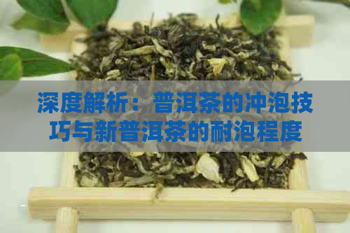 深度解析：普洱茶的冲泡技巧与新普洱茶的耐泡程度