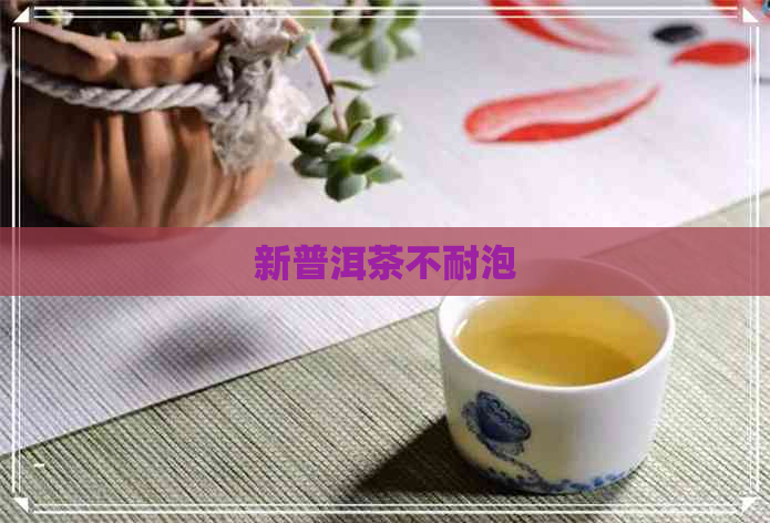 新普洱茶不耐泡