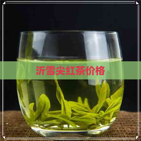 沂雪尖红茶价格