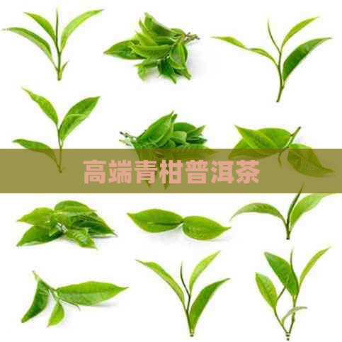 高端青柑普洱茶