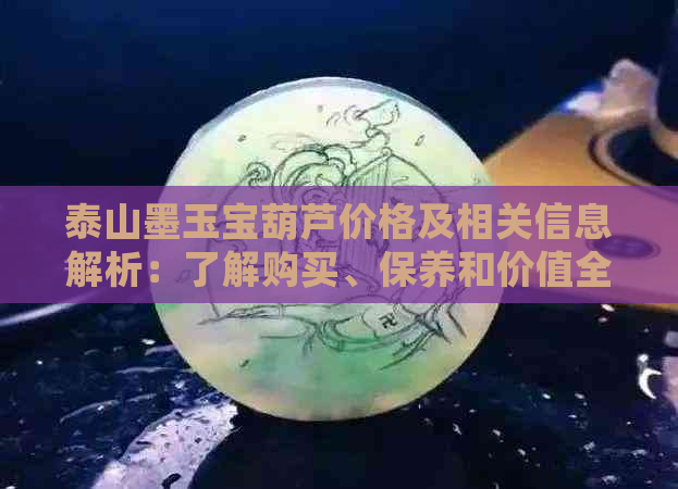 泰山墨玉宝葫芦价格及相关信息解析：了解购买、保养和价值全攻略