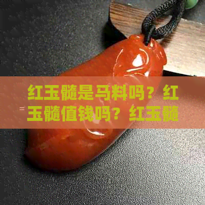 红玉髓是马料吗？红玉髓值钱吗？红玉髓是玛瑙吗？红玉髓是什么材质？