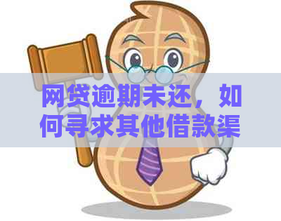 网贷逾期未还，如何寻求其他借款渠道以解决资金困境？