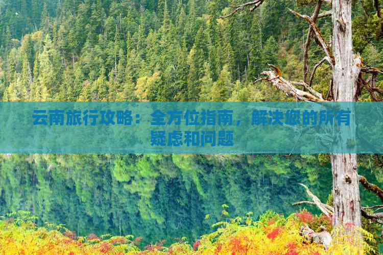 云南旅行攻略：全方位指南，解决您的所有疑虑和问题