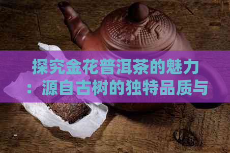 探究金花普洱茶的魅力：源自古树的独特品质与文化内涵