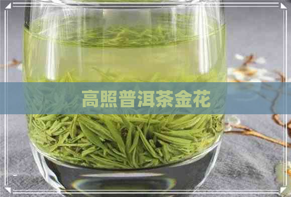 高照普洱茶金花