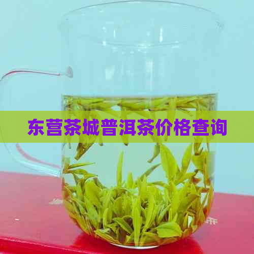 东营茶城普洱茶价格查询