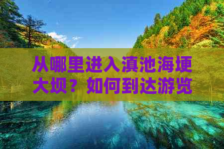 从哪里进入滇池海埂大坝？如何到达游览路线及注意事项？