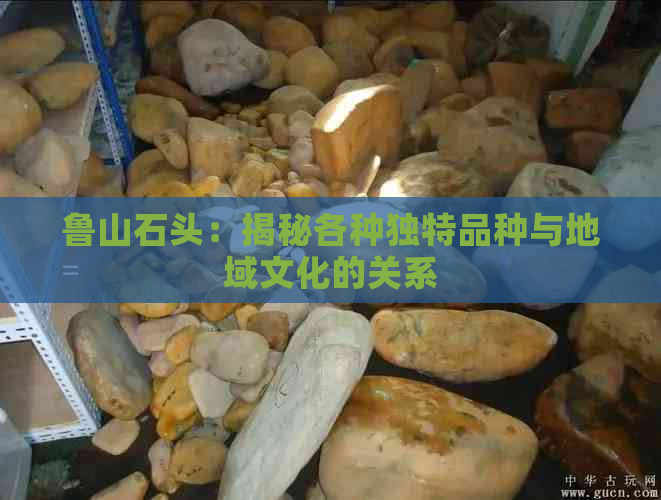 鲁山石头：揭秘各种独特品种与地域文化的关系